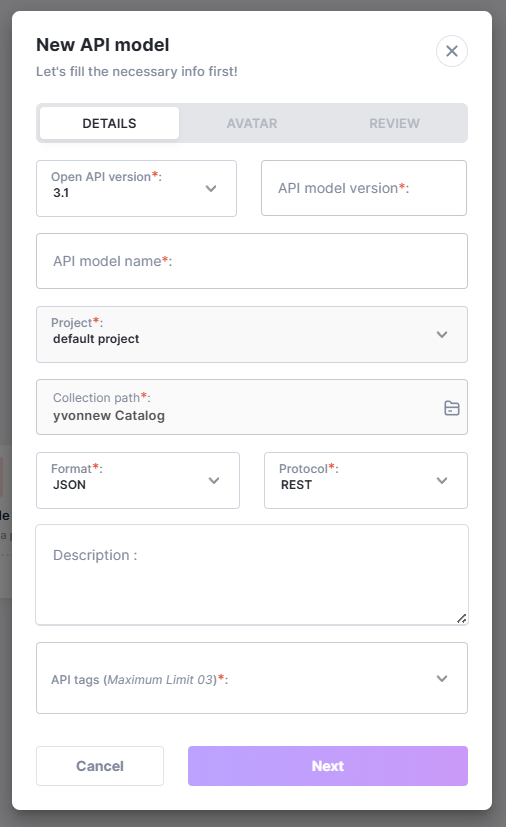 API model details entry