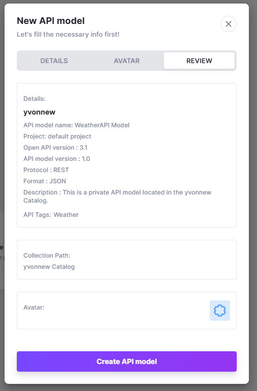 API model details review