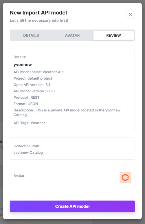 Imported API model details review