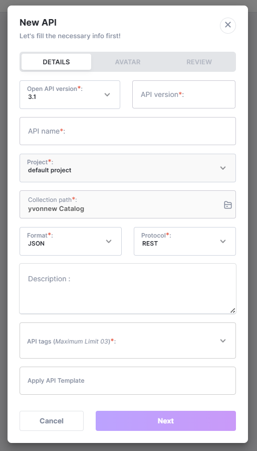 API details entry